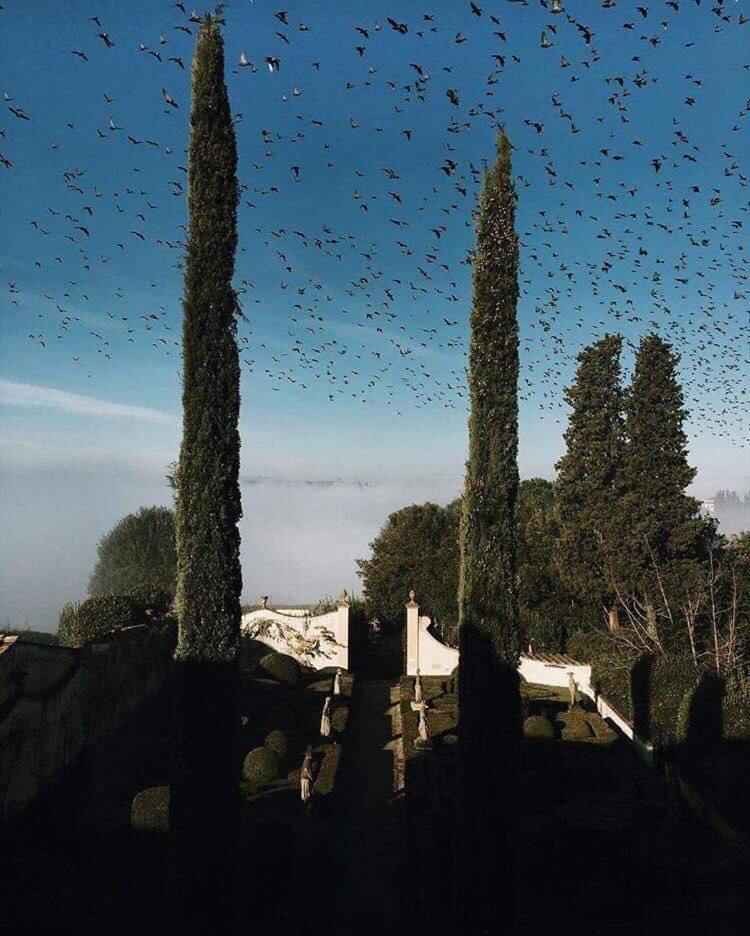 Villa Le Piazzole Florencia Exterior foto